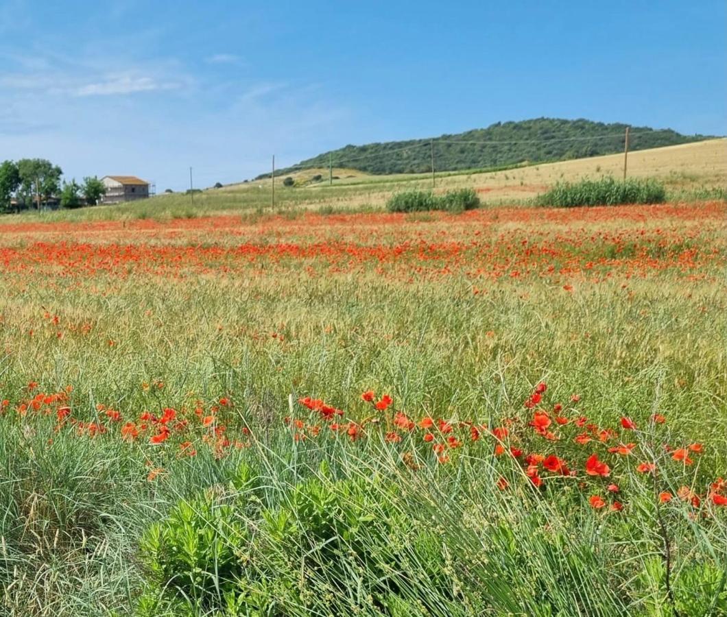 Casa Maira In Centro A Saturnia Βίλα Εξωτερικό φωτογραφία