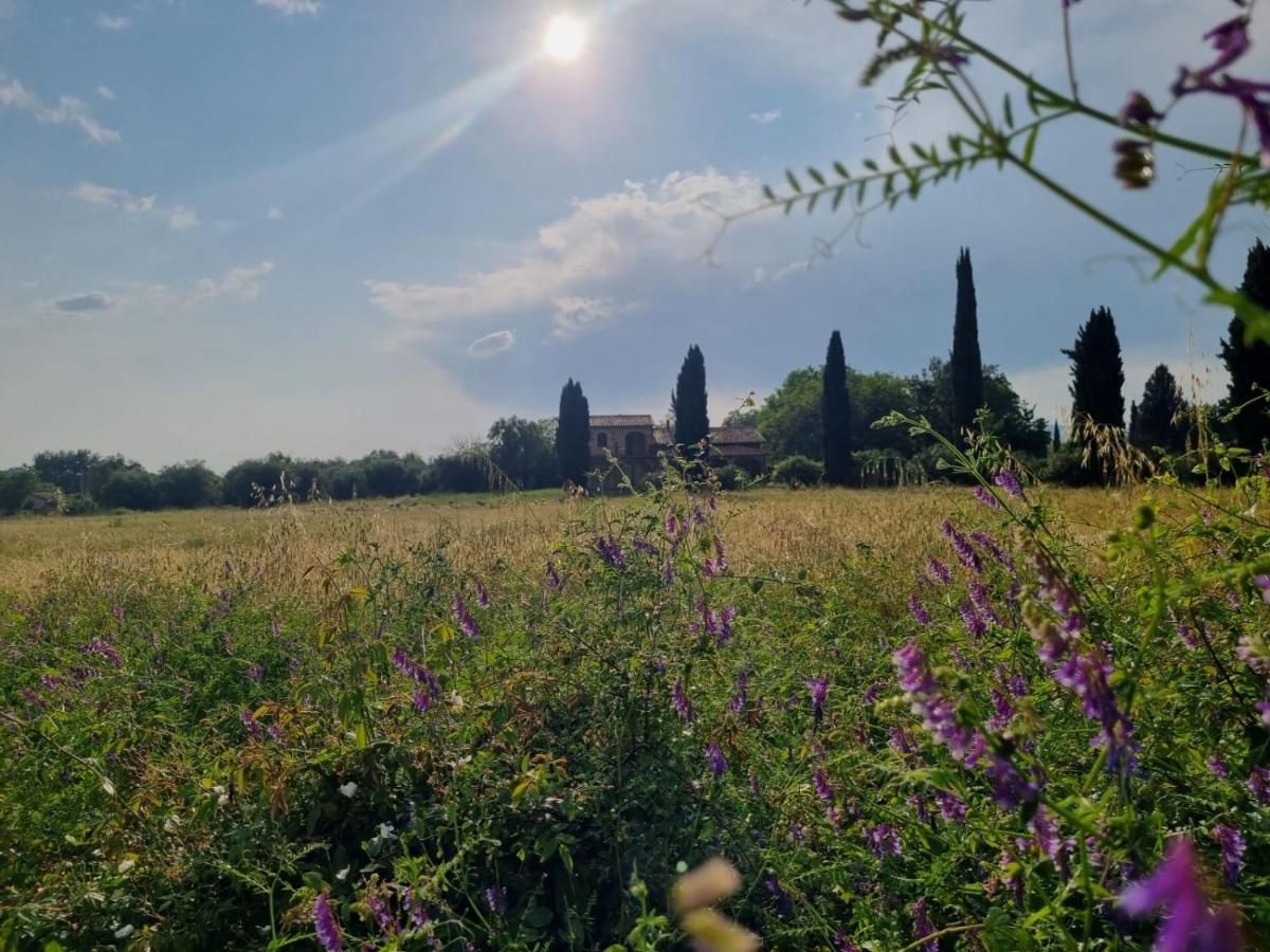 Casa Maira In Centro A Saturnia Βίλα Εξωτερικό φωτογραφία